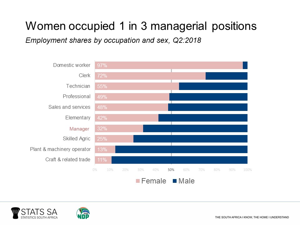 Examples Of Gender Inequality In South Africa